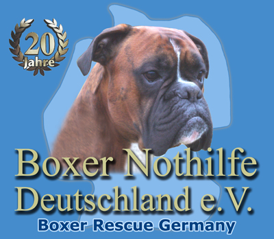(c) Boxernothilfe.de